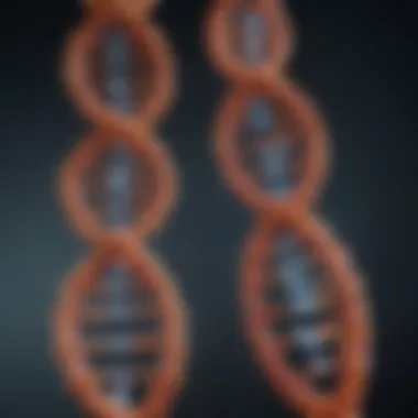 Visual representation of gene expression regulation.