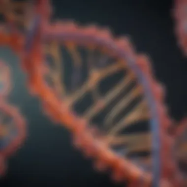 Illustration of RNA transcription process.