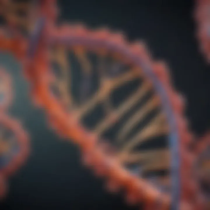 Illustration of RNA transcription process.