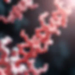 Detailed view of M protein structures