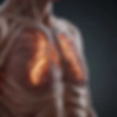 Imaging Techniques for Lung Cancer Infographic detailing imaging techniques used in lung cancer