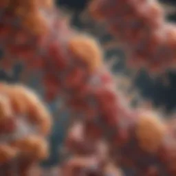 Illustration of tau protein structure