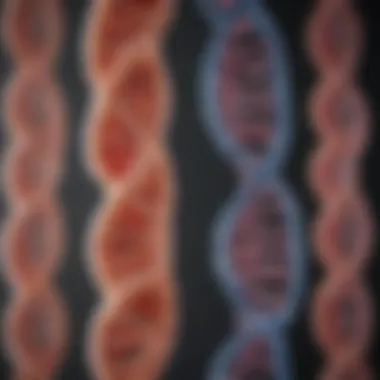 Chromosomal structure visual representation