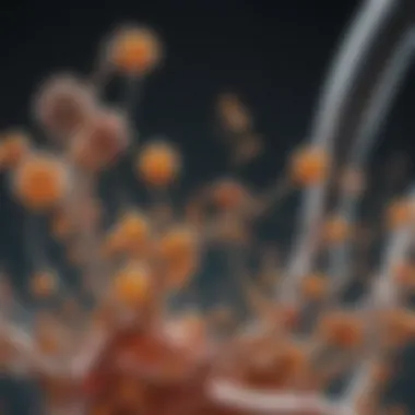 Current research trends in vitamin D receptor antibody studies