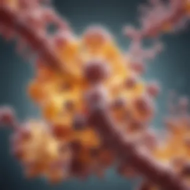 Structural representation of vitamin D receptor antibodies