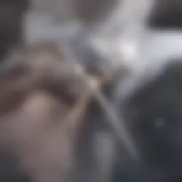 A detailed illustration of the vitamin D molecular structure